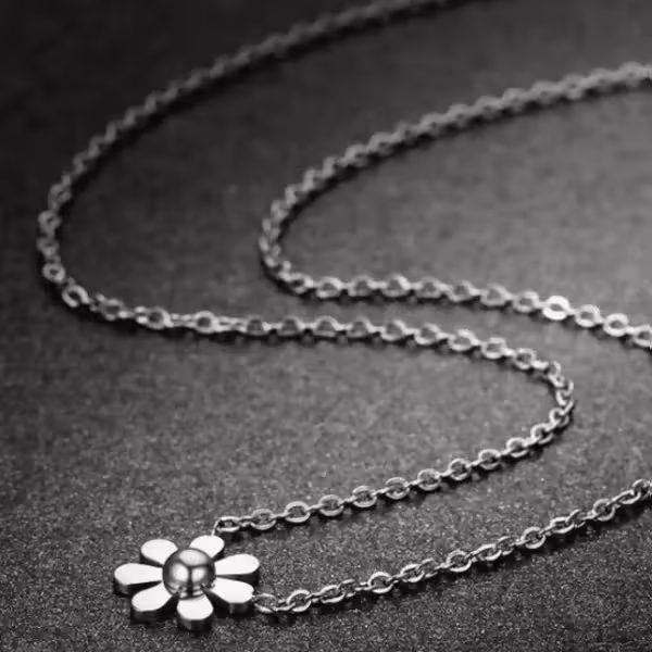 鋼飾×小雛菊×鎖骨項鍊×鋼色-第1張