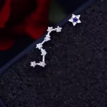 925銀針×北斗七星×耳針