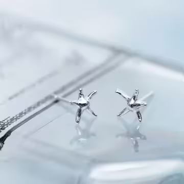 925銀針×五角海星×耳針