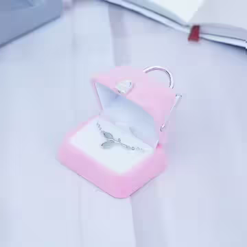 粉紅口金包×適用戒指/項鍊/手鍊×絨布盒