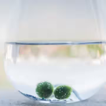 綠藻玻璃球×項鍊