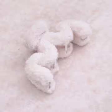 超大M字絨毛×鯊魚夾×共五色