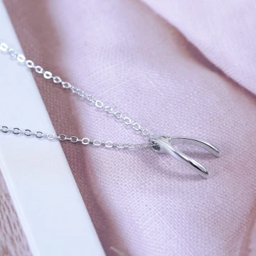 925銀飾&times;如願骨&times;鎖骨項鍊.avif