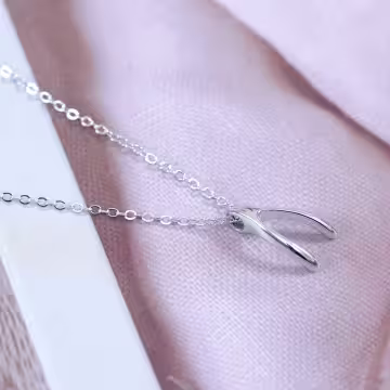 925銀飾×如願骨×鎖骨項鍊